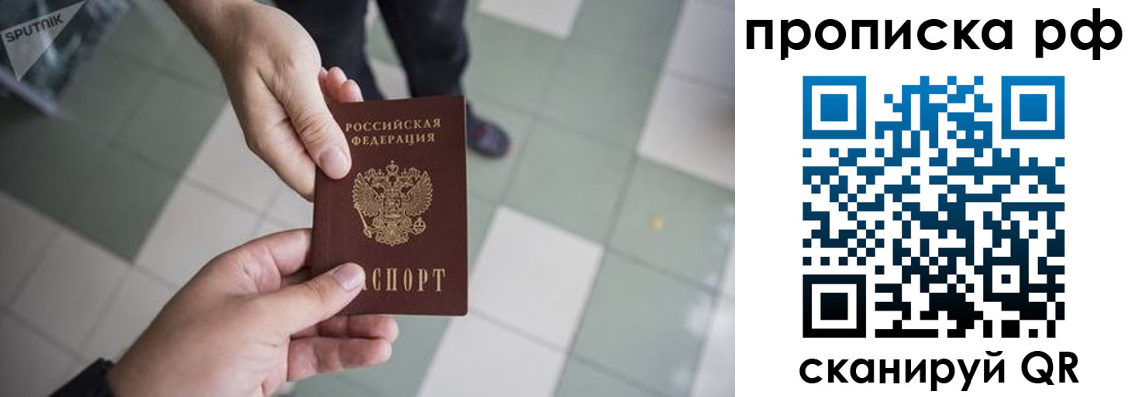 прописка гарантия в Дмитрове